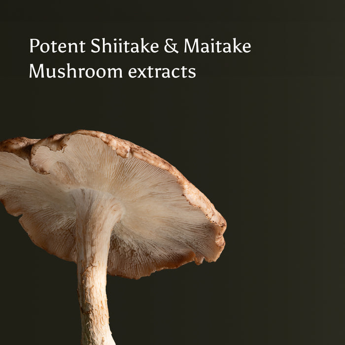 A close-up of a mushroom with a light brown cap and gills, set against a dark background. Text above reads: Brave Immunity by Ancient + Brave—powerful Shiitake & Maitake mushroom extracts designed to help strengthen immunity.