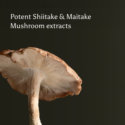 A close-up of a mushroom with a light brown cap and gills, set against a dark background. Text above reads: Brave Immunity by Ancient + Brave—powerful Shiitake & Maitake mushroom extracts designed to help strengthen immunity.
