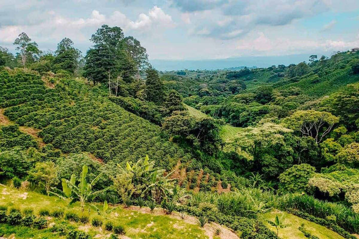 Costa Rica