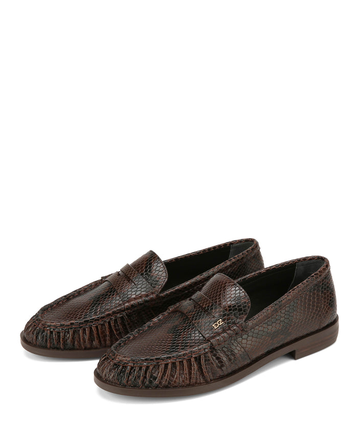 Haven Brown Snake