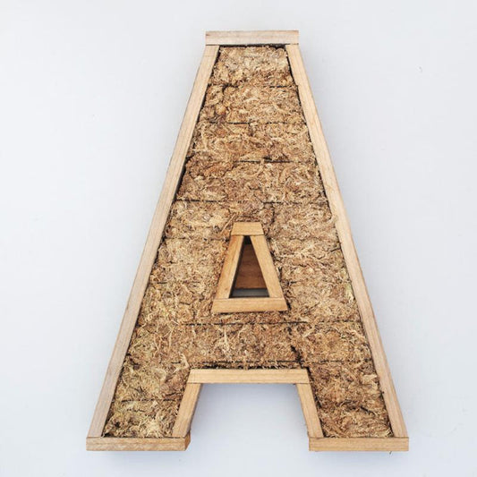 Succulent Letter Frame | Vertical Gardening | $99.00 | Succulent Gardens