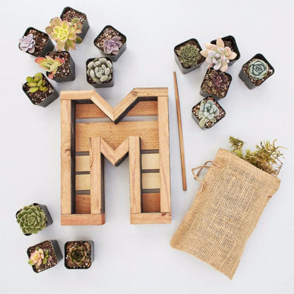 Succulent Letter Kit | $97.00 | Succulent Gardens