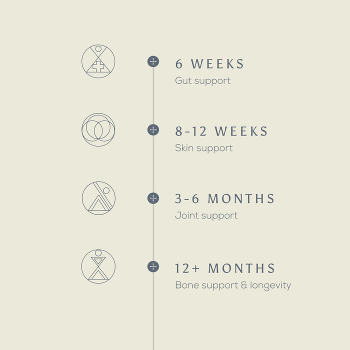 A vertical timeline illustrates the health support stages with True Collagen by Ancient + Brave: 6 weeks (gut), 8-12 weeks (skin), 3-6 months (joint), and 12+ months (bone & longevity)—each represented by a distinct icon—highlighting the benefits of hydrolysed bovine collagen peptides at every stage.