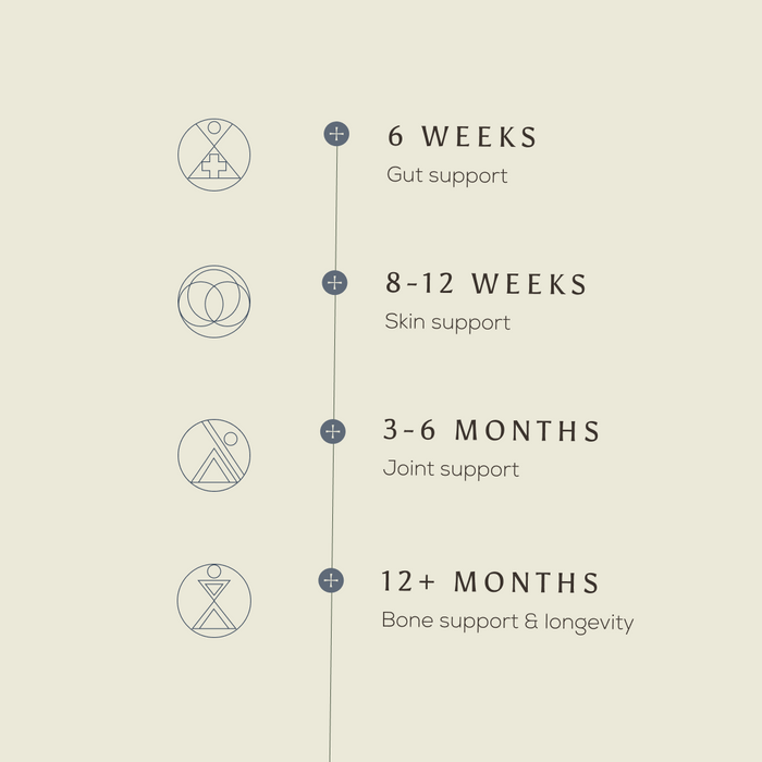 A timeline shows the health benefits - Gift Subscription: 6 weeks—gut support, 8–12 weeks—skin support, 3–6 months—joint support, 12+ months—bone and wellbeing, with simple line icons for each stage.