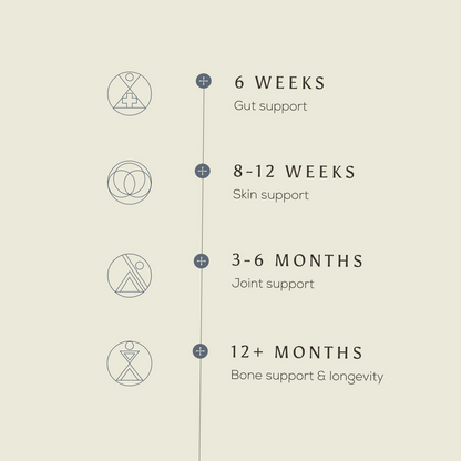 A timeline shows the health benefits - Gift Subscription: 6 weeks—gut support, 8–12 weeks—skin support, 3–6 months—joint support, 12+ months—bone and wellbeing, with simple line icons for each stage.